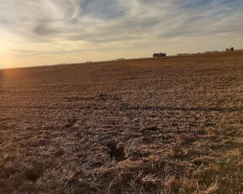 Vdo 285 Has Todo Agric Maíz Soja en Producción U$ 1.700.000