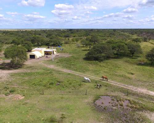 Pcia. de Santa FE - San Cristobal 9284 Has