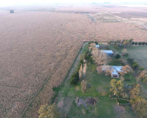 Monte - 342 Ha - Buenos Aires