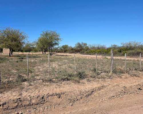 Vendo Campo en Colonia Dora 56 Has Santiago del Estero