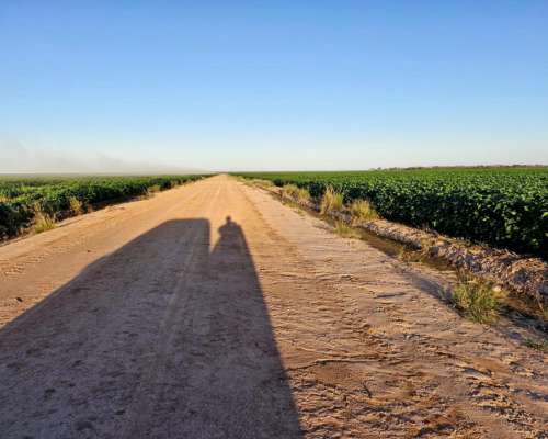 Excepcional Estancia Agrícola 3580 HA. Premium en Quimili