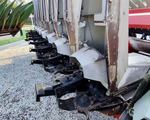 Maicero Maizco Premium 2015 de 12 a 52 Usado 9/10