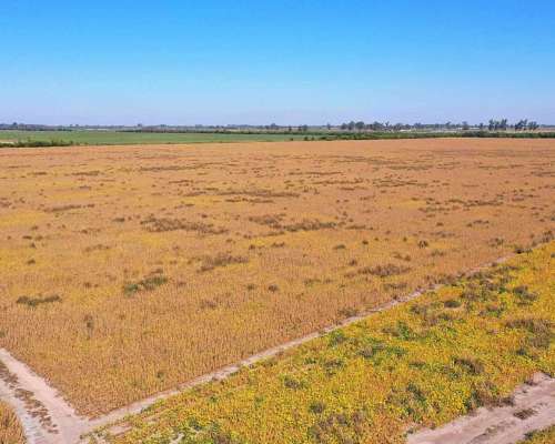 Pcia. de Santa FE - Colonia Raquel 103 Has