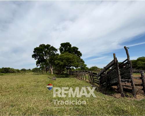 Campo en Chaco Colonia Guayaibi