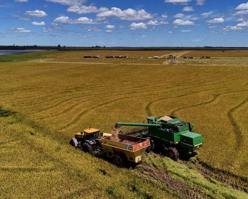 Mercedes, Corrientes - 4.050 Ha