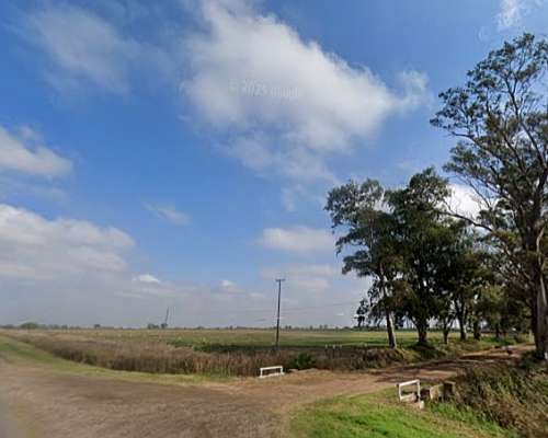 Campo 74 Ha – Pilar, Santa FE – Apto Tambo y Ganadería