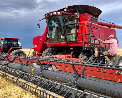 Cosechadora Case IH, 2799, año 2015, Mapeo, Piloto