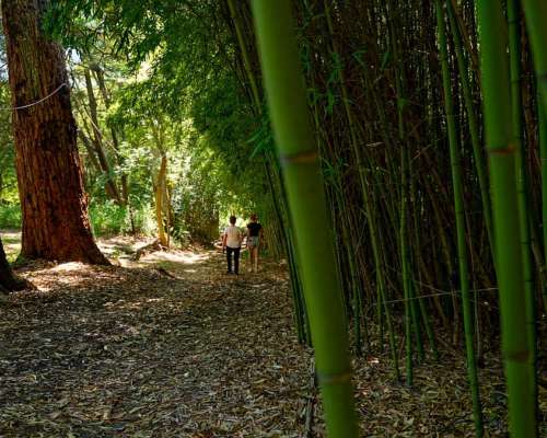 Casa de Campo con Arroyo y Vertiente: Ideal Emprendimiento