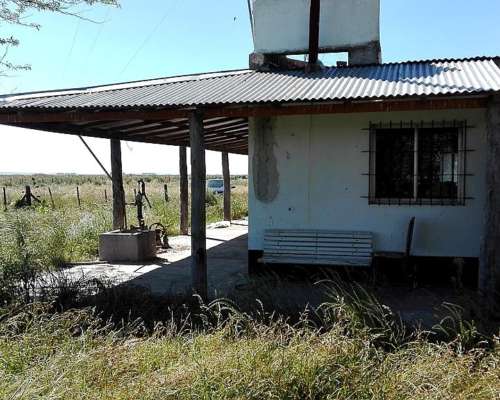 Vendo 1400 Has Ganaderas Olavarria