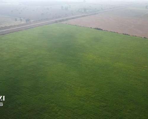 150 Ha Agricolas en Hersilia Sobre RP 38. IP 52%