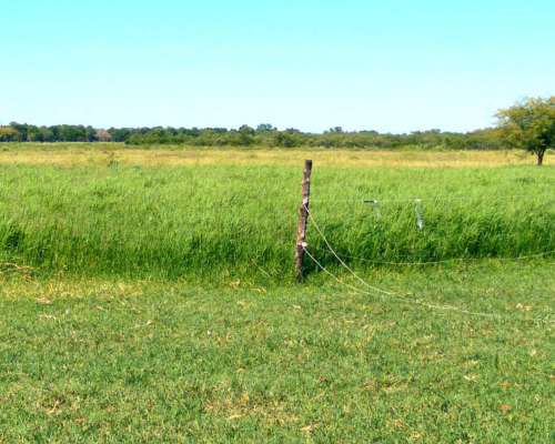 62 Hectáreas Mixtas . Sobre Ruta N463