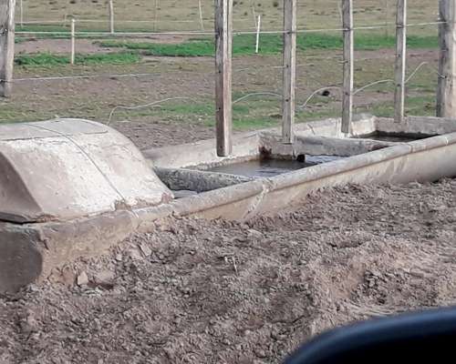 Vendo 3500 Ha Ganaderas Laboulaye