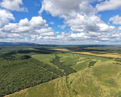Pcia. de Salta - Rosario de la Frontera 906 Ha