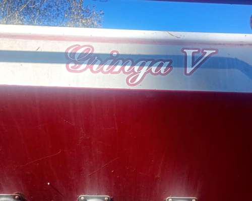 Crucianelli Gringa V, de 20 a 42 o 16 a 52