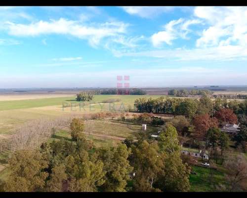 6902ha Campo Mixto en Venta en Lincoln, Pcia. de BS AS.