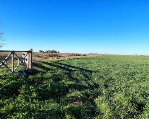 200ha Agrícola-ganaderas en General San Martin