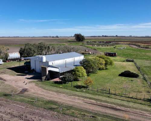 Pehuajó, Buenos Aires - 2.422 Ha