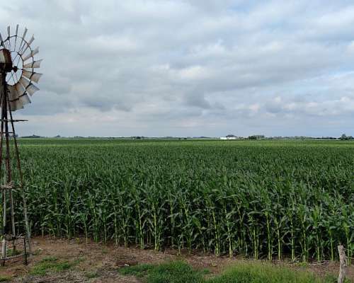 Busco Campo para Arrendar 2026/2027