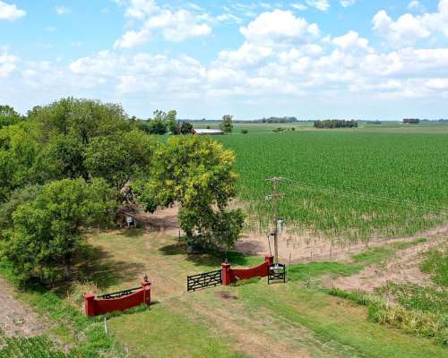 67,50 Has. Campo Agrícola con Casco en Baradero
