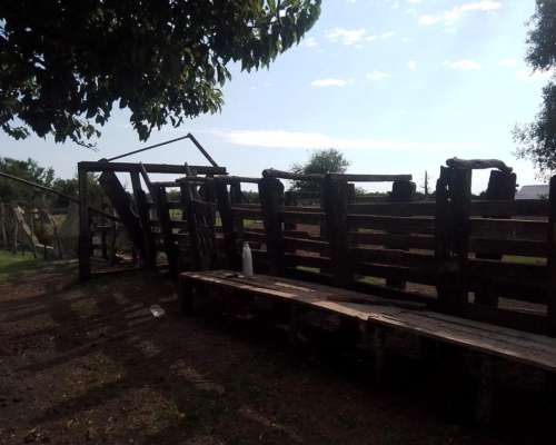 Arrendamiento Alquiler Campo Ganadero