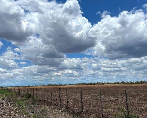 Las Lajitas, Salta - 1330 Has