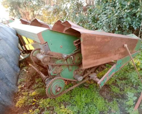 Maicero Marisco 8 a 70cm