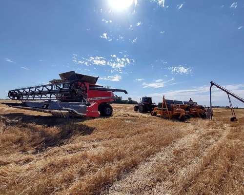 Se Busca Campo para Alquiler de USO Agrícola.