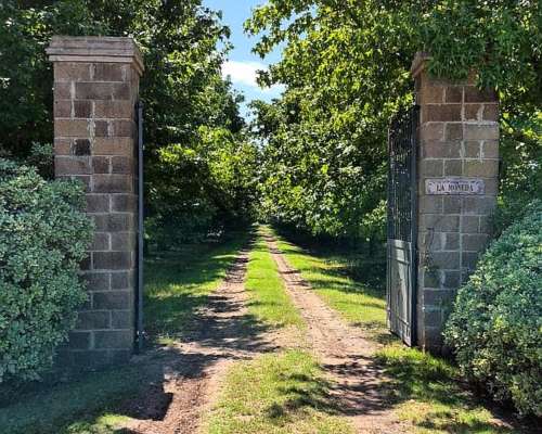 Luján, Buenos Aires - 45 Ha