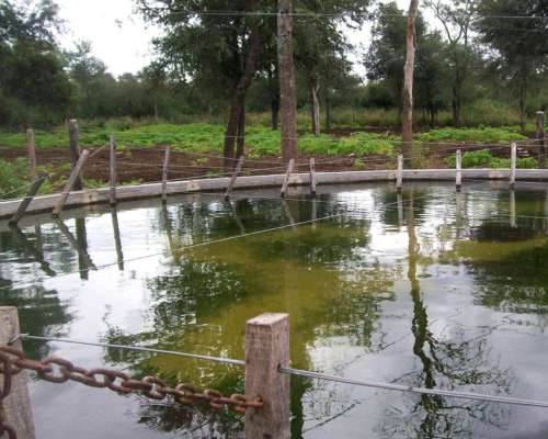 4.000 Ha Estancia en Urutau Sobre Ruta