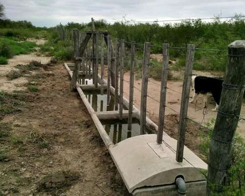 Campo Ganadero en San Luis, de Beazley. 6.000 Hectareas