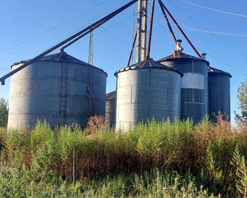 Planta de Silos con Noria Usada para Desarme.