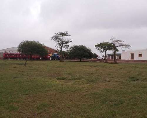 15635 Hectareas Entre Malbran y Bandera