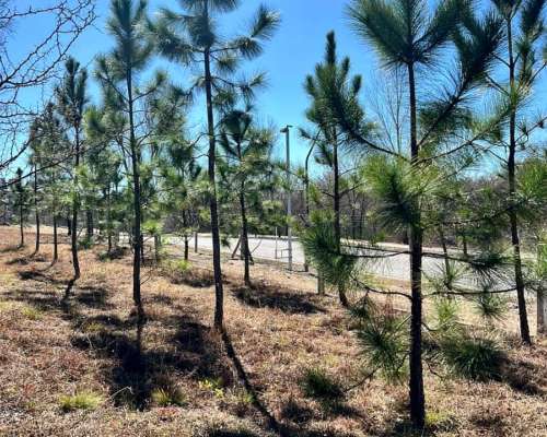 Lote en Country Altos de Carlos PAZ