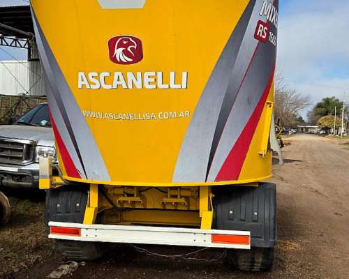 Mixer Vertical Ascanelli 14m3