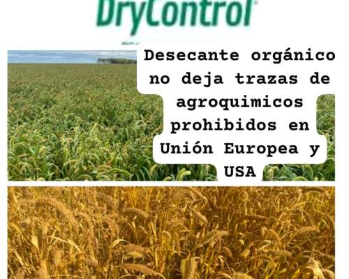 Desecante Orgánico Control DRY