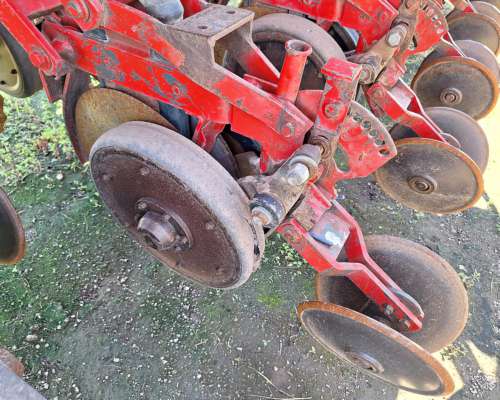 Semb Fino - Crucianelli Pionera 21 a 26