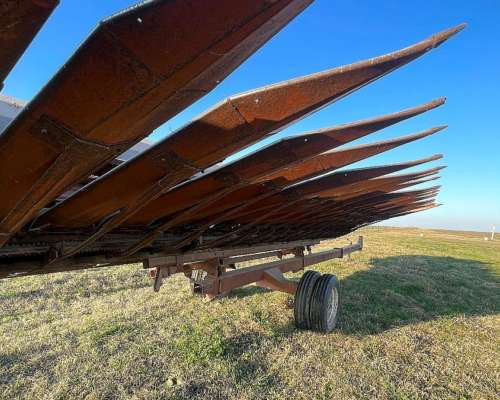 Girasolero Mainero de 10 a 70 cm