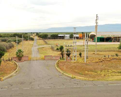Paraje los Chañaritos, Capayan, Catamarca - 1.000 Ha