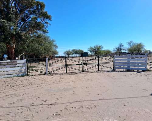 Campo Ganadero Pampas Blancas, en la Rioja, 11500 Has