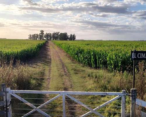 207 Ha Agricola Ganadero-vivorata