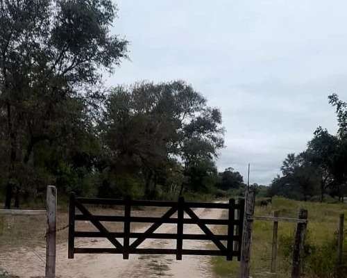 Venta 350 Ha en Mariano Boedo