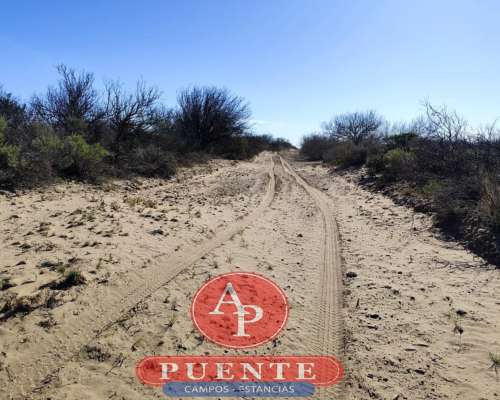 En Venta 6000 HA. Chacharramendi, L.P