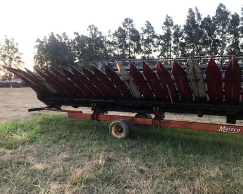 Se Vende Girazolero 10 a 52cm