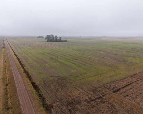 30 HA. Agrícola Suelo Clase 1. Muñoz (santa FE)