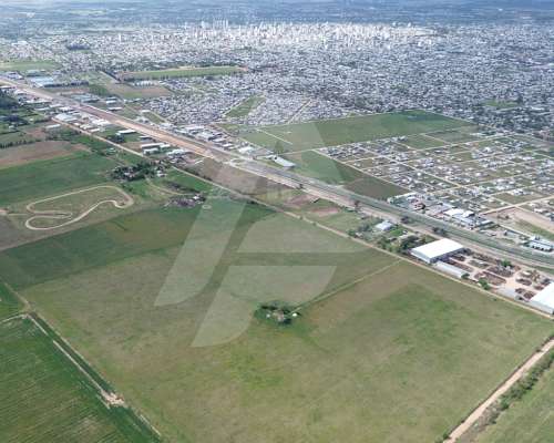 🌾 Campo en Alquiler/venta – Río Cuarto (córdoba)