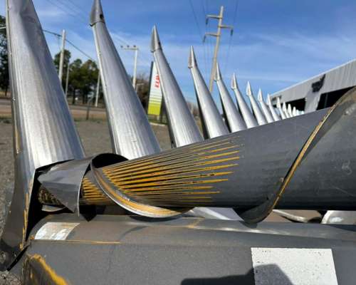 Mainero 16 a 52cm D-100