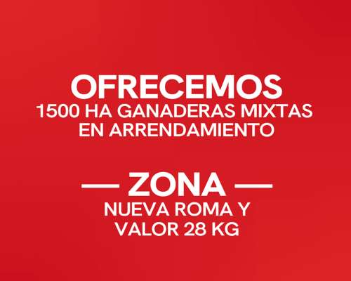 1.500 Ha Arrendamiento Mixto Ganadero, Nueva Roma, BA. BCA