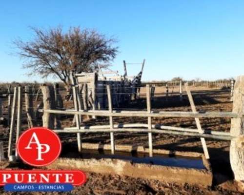 En Venta 2500, Cuchillo CÓ, la Pampa