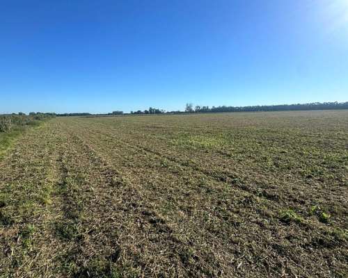 120 Hectáreas Agrícolas Baradero