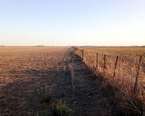 Campo Entre Rio Tercero y Tancacha